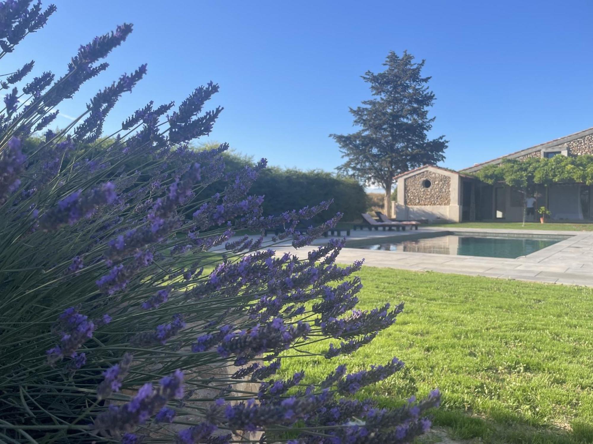 فندق Les Mazets Du Pas Gréoux-les-Bains المظهر الخارجي الصورة
